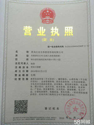 深耕黑土地，服務轉型路——教育咨詢服務助力發展全解析